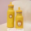Gourde enfant 500 ml - Mr Lion - Trixie