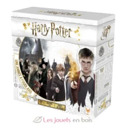 Harry Potter - Une Année à Poudlard - Topi Games