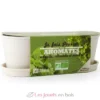 Jardinière en bambou aromates bio - Radis et Capucine