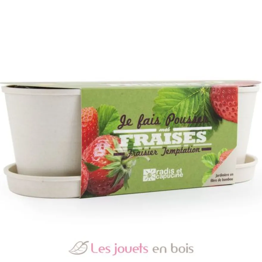 Jardinière en bambou Fraisiers - Radis et Capucine