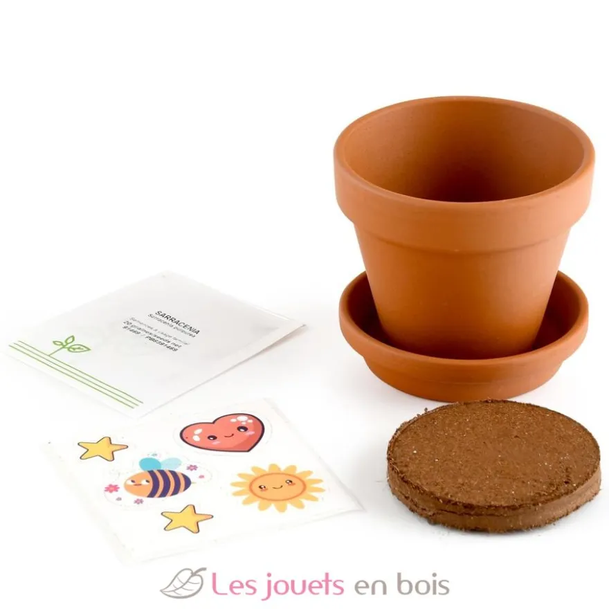 Je fais pousser ma Plante carnivore - Radis et Capucine