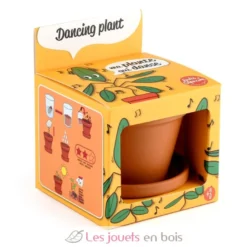 Je fais pousser ma Plante qui danse - Radis et Capucine