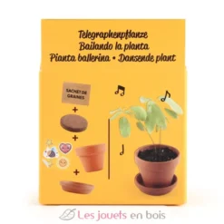 Je fais pousser ma Plante qui danse - Radis et Capucine