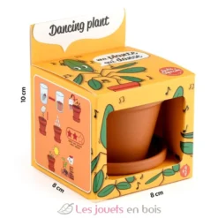 Je fais pousser ma Plante qui danse - Radis et Capucine