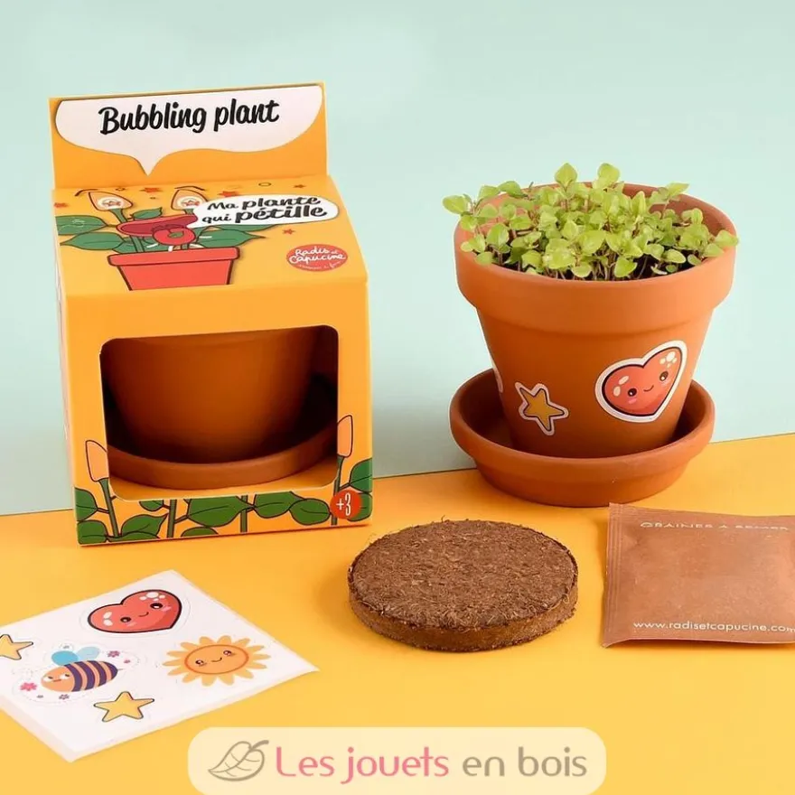 Je fais pousser ma Plante qui pétille - Radis et Capucine