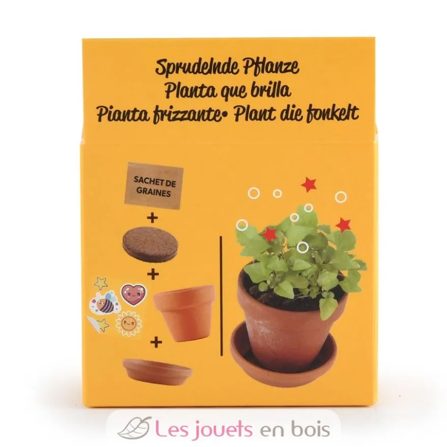 Je fais pousser ma Plante qui pétille - Radis et Capucine