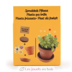 Je fais pousser ma Plante qui pétille - Radis et Capucine