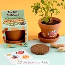 Je fais pousser mes Cacahuètes - Radis et Capucine
