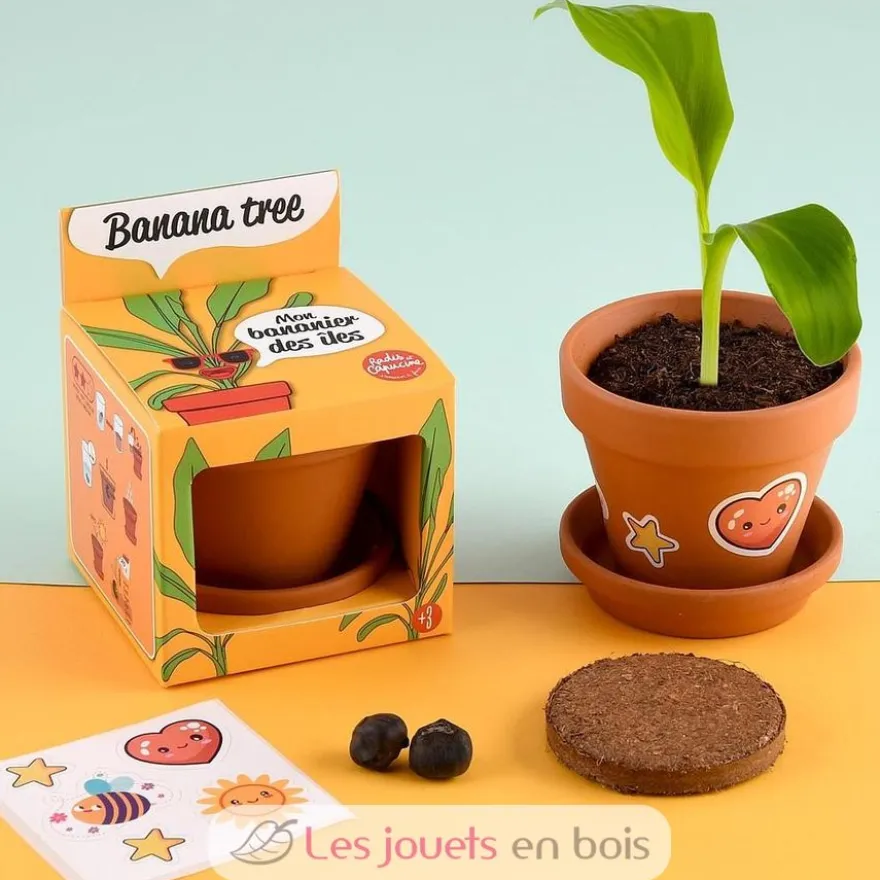Je fais pousser mon Bananier - Radis et Capucine