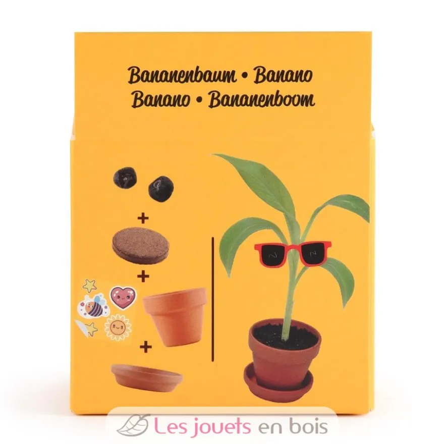 Je fais pousser mon Bananier - Radis et Capucine