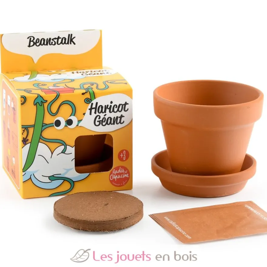 Je fais pousser mon Haricot géant - Radis et Capucine