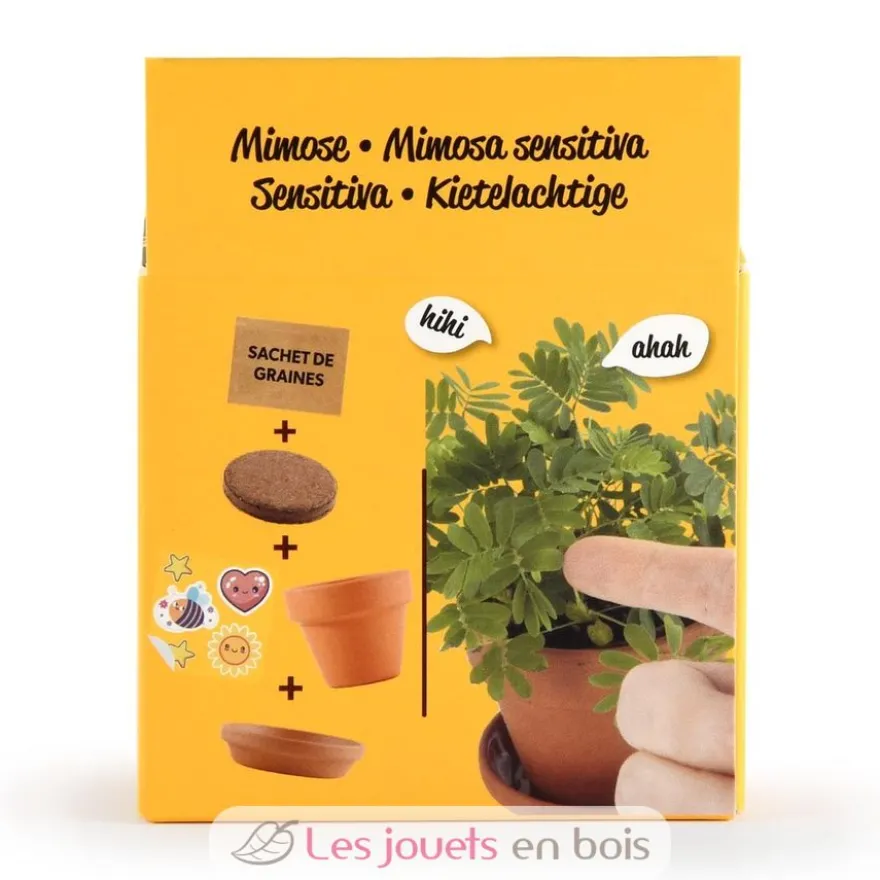 Je fais pousser mon Mimosa pudica - Radis et Capucine