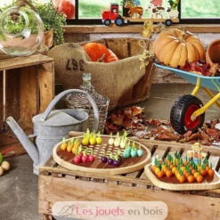 Jeu de dames chinoises La traversée du potager - Vilac