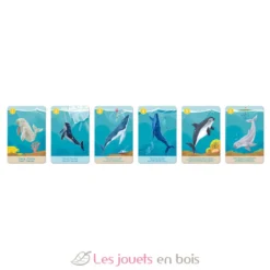 Jeu de 7 Familles le Règne Animal - Janod
