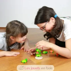 Jeu en bois Challenge Tortue - Milaniwood
