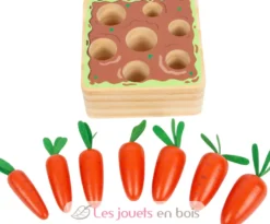 Jeu à enficher carottes orange Small Foot Compagny