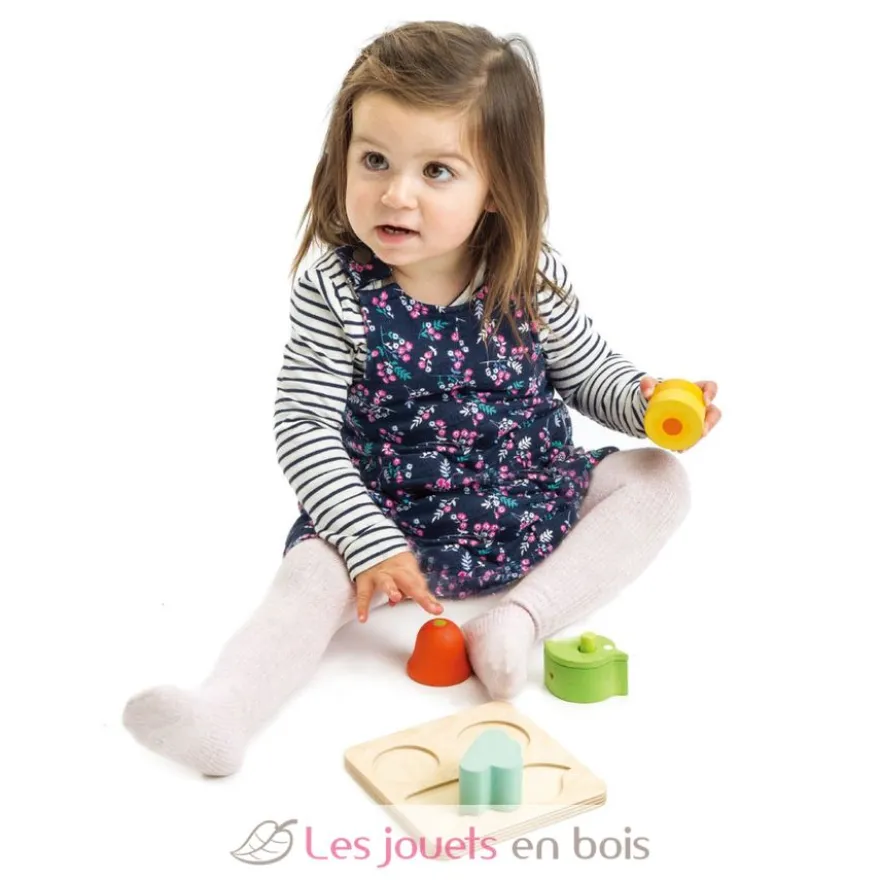 Jeu éveil des sens - Tender Leaf Toys