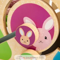 Jouet d'activités triangulaire - Bigjigs Toys