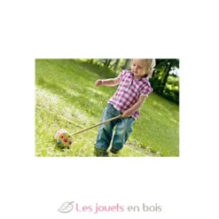 Jouet à pousser Roller - Selecta