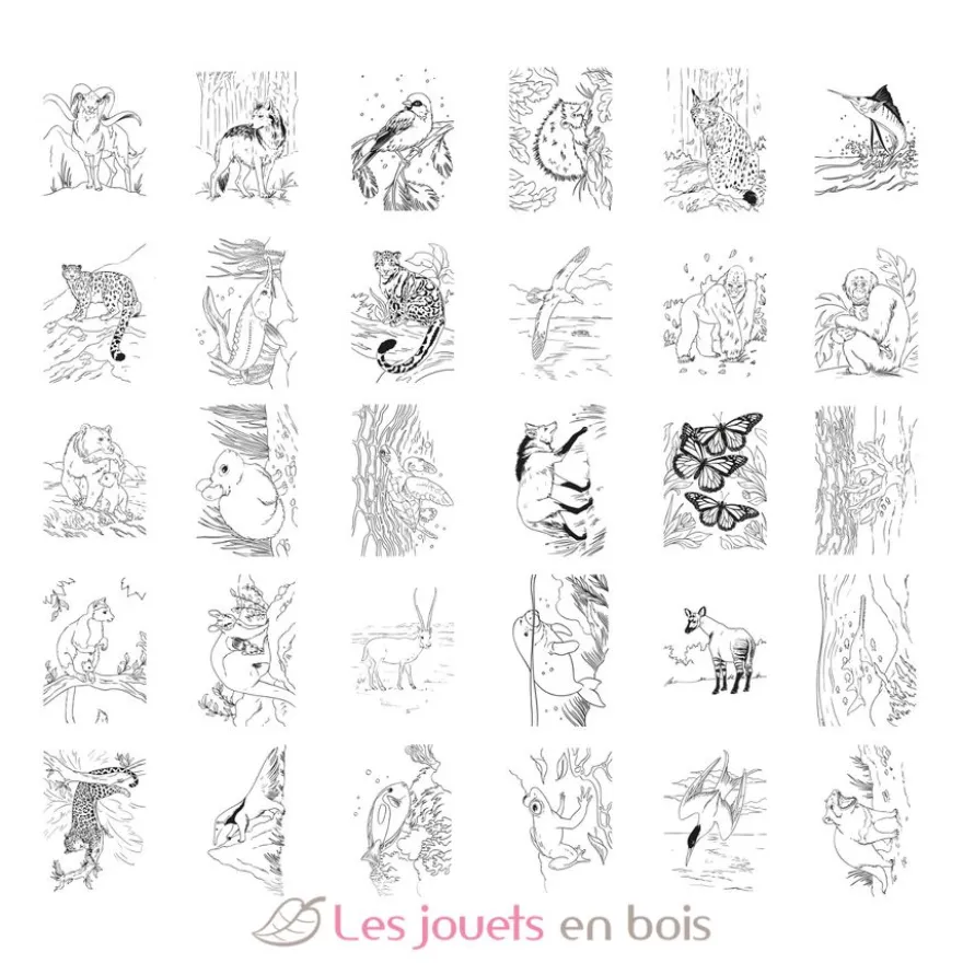 K-Draw Tablette à dessin lumineuse Animaux - Kidywolf