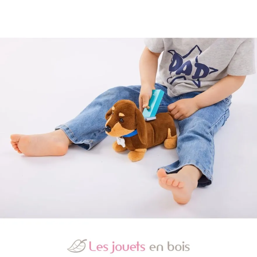 Kit du petit vétérinaire - Hape Toys