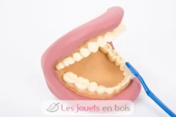 Kit géant de démonstration dentaire rose Tickit