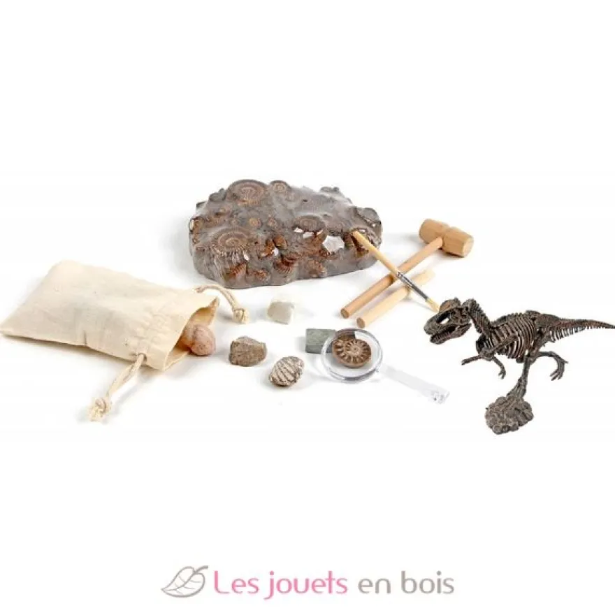 Kit Paleo - A travers les âges - Ulysse