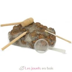 Kit Paleo - A travers les âges - Ulysse