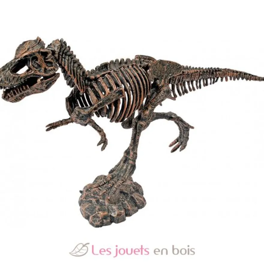 Kit Paleo - A travers les âges - Ulysse