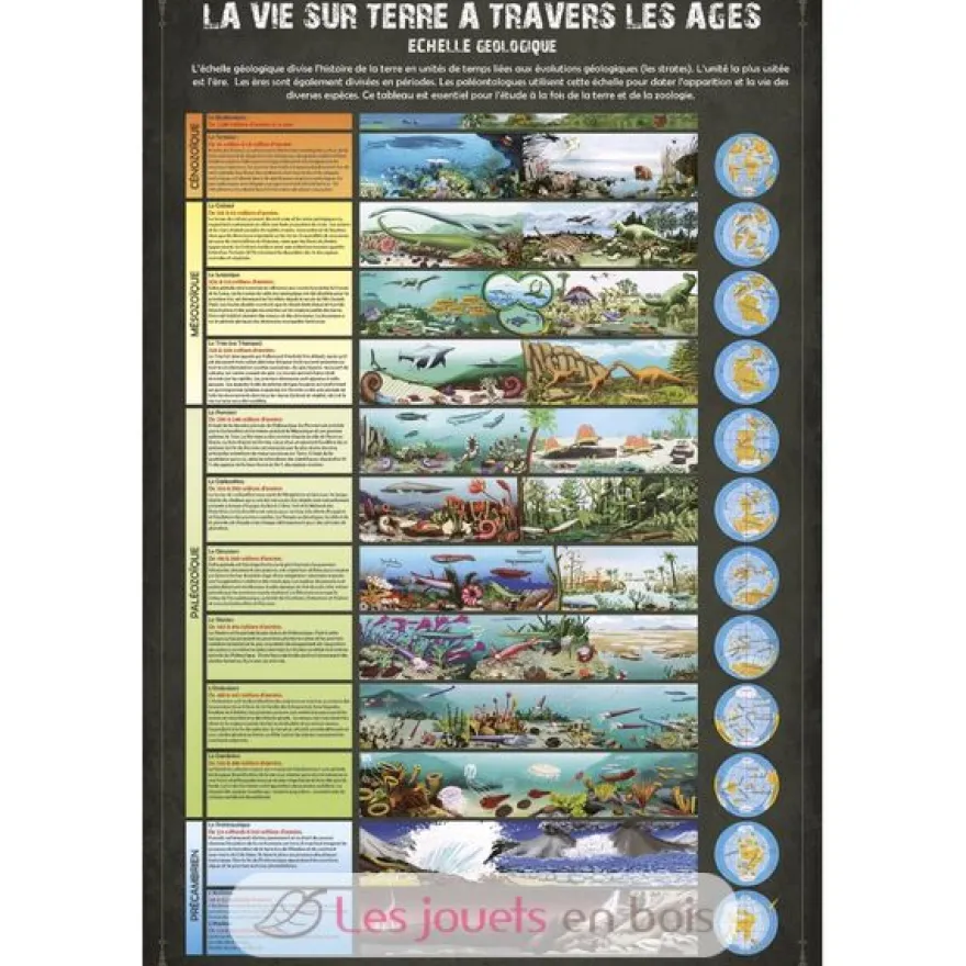 Kit Paleo - A travers les âges - Ulysse