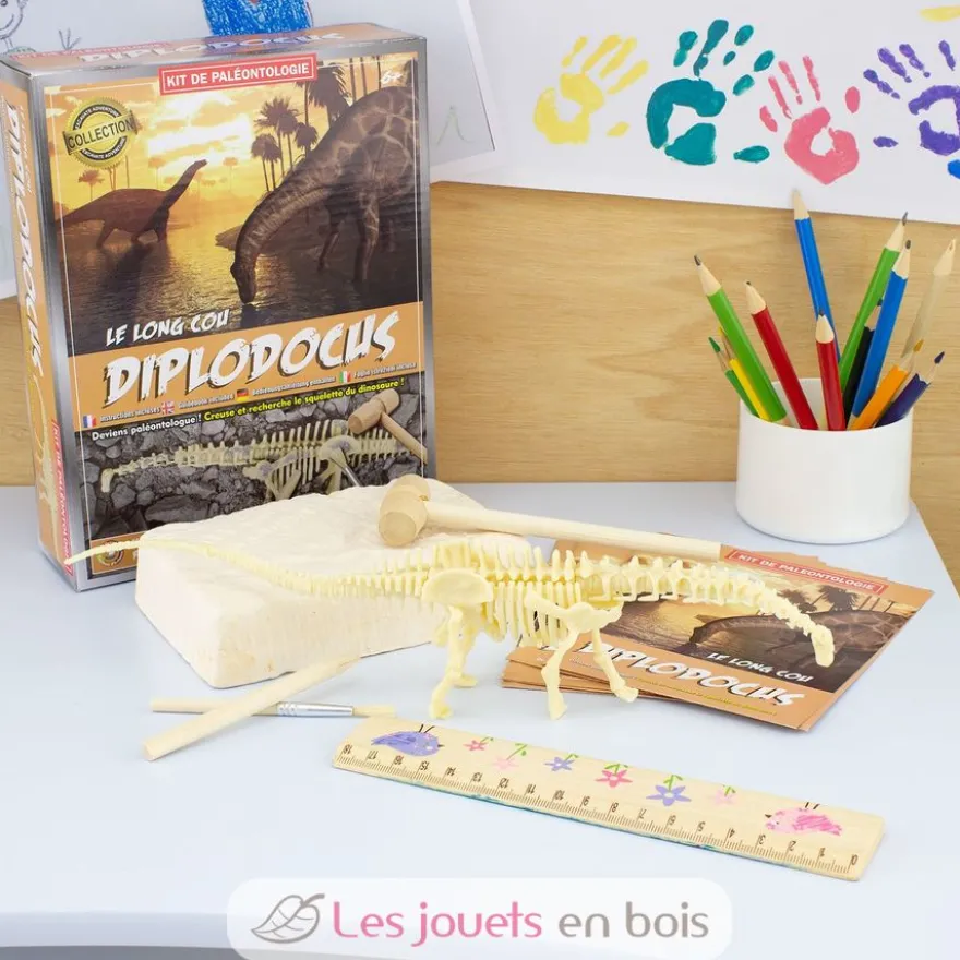 Kit Paleo - Diplodocus - Ulysse