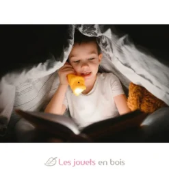 Lampe de poche en silicone Lion orange - Little L