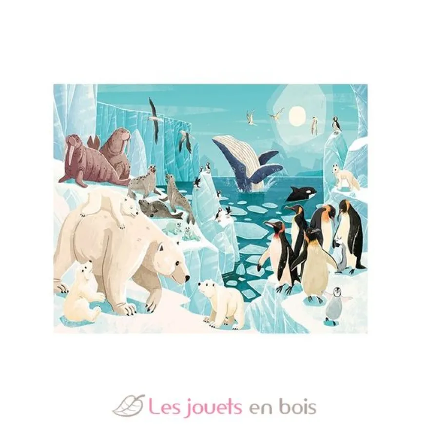 La Planète en Danger - Les Glaces - Sassi Junior