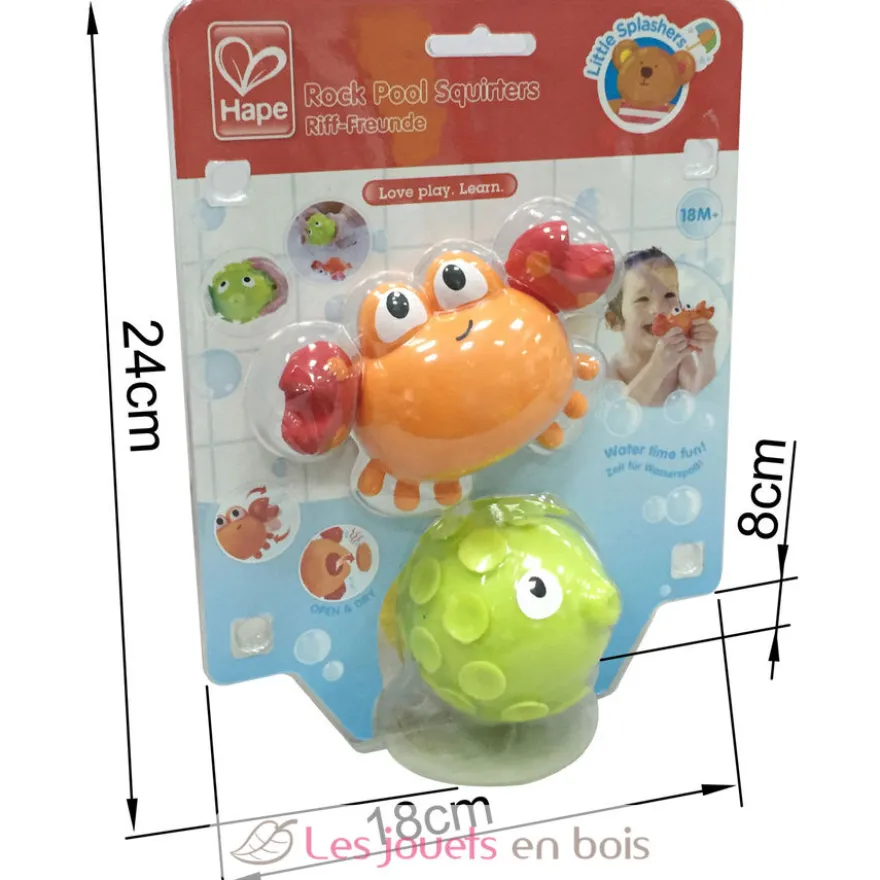 Les amis du rocher - Hape Toys
