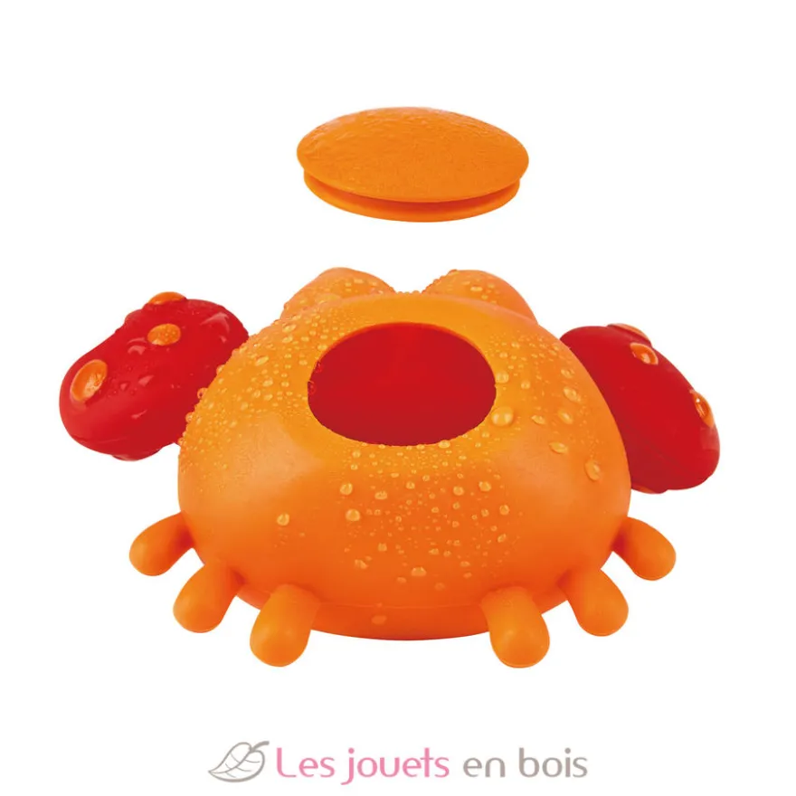 Les amis du rocher - Hape Toys