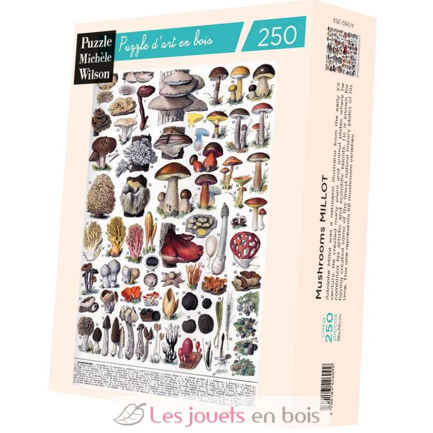 Les champignons de Millot - Puzzle Michèle Wilson