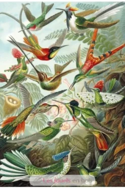 Les colibris HAECKEL - Puzzle Michèle Wilson