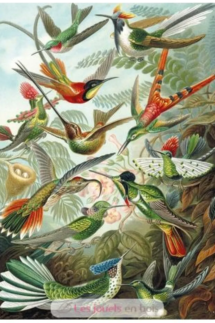 Les colibris HAECKEL - Puzzle Michèle Wilson