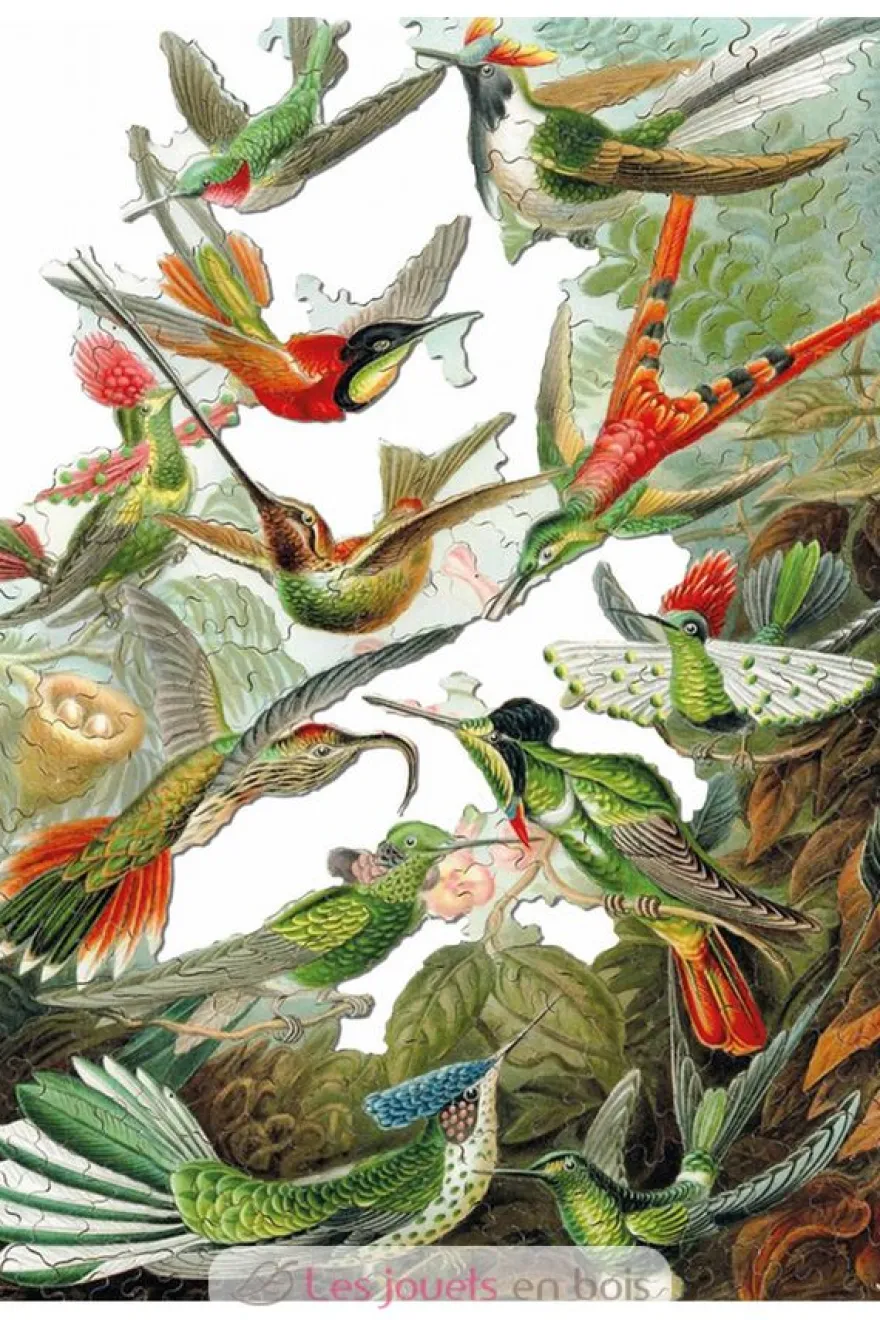 Les colibris HAECKEL - Puzzle Michèle Wilson