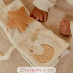 Livret en tissu Oie - Little Dutch
