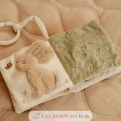 Livret en tissu Oie - Little Dutch