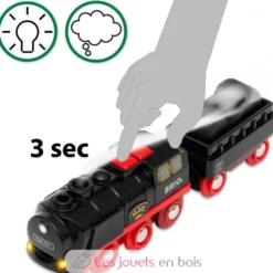 Locomotive à piles à vapeur - Brio