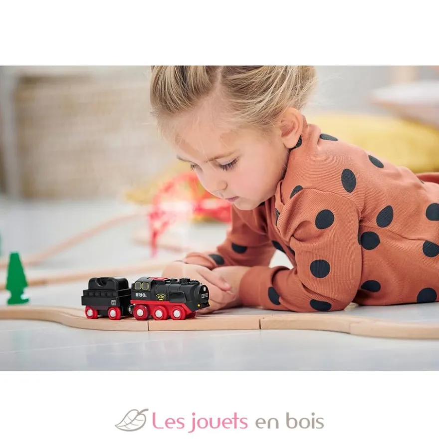 Locomotive à piles à vapeur - Brio