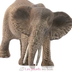 Éléphant d'Afrique femelle marron - Schleich