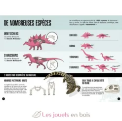 L'ère des dinosaures - Le Tricératops - Sassi Junior