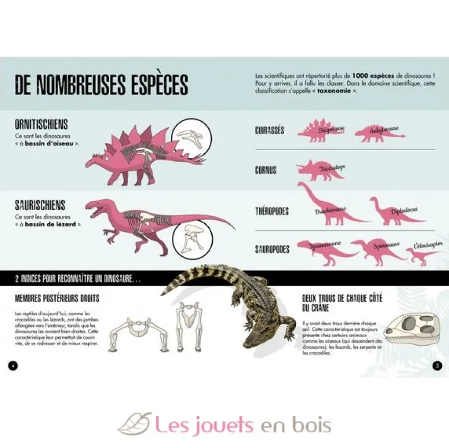 L'ère des dinosaures - Le Tricératops - Sassi Junior