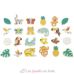 24 magnets tropicaux Tropik - Janod