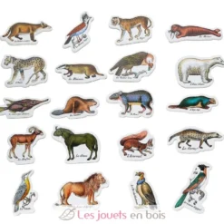 Magnets zoologiques de Buffon - Vilac
