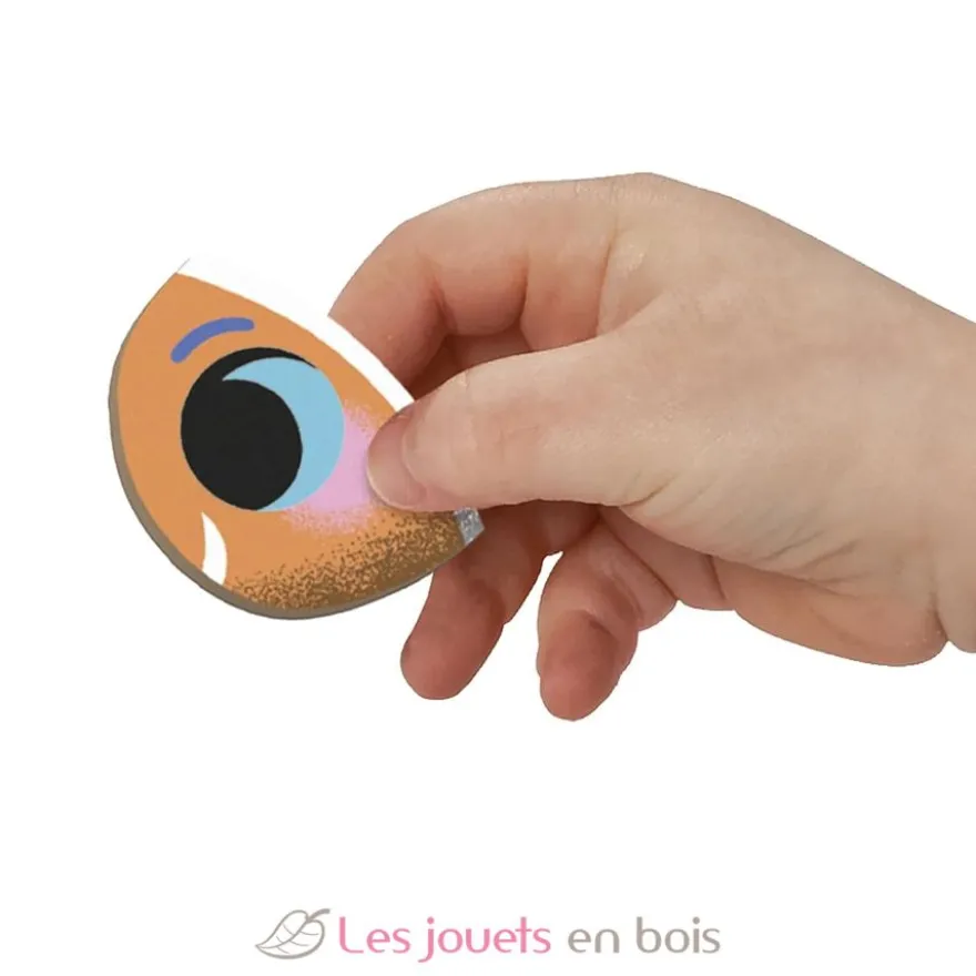 Magnéti'book Poissons tropicaux bleu - Janod