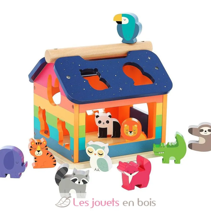 Maison des formes Arc-en-ciel - Vilac